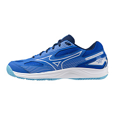 Кроссовки волейбольные мужские MIZUNO Cyclone Speed 4 V1GA238001, р.UK11 (рос.45), синий