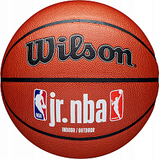 Мяч баскетбольный Wilson JR. NBA Fam Logo Indoor Outdoor WZ2009801XB6, размер 6