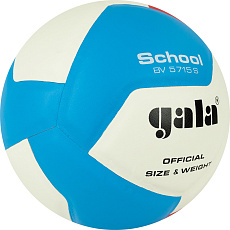 Мяч вол. GALA School 12, BV5715S, р. 5, син.кожа ПУ, под.сл. пена, клеен,бут.кам,бел-гол-красн