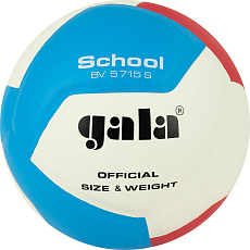 Мяч вол. GALA School 12, BV5715S, р. 5, син.кожа ПУ, под.сл. пена, клеен,бут.кам,бел-гол-красн