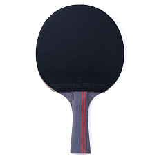 Ракетка для настольного тенниса TORRES Sport 1* TT21005